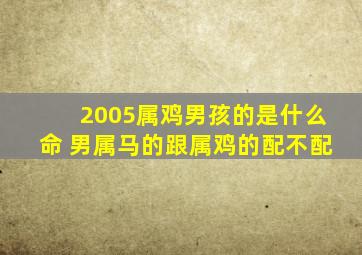 2005属鸡男孩的是什么命 男属马的跟属鸡的配不配